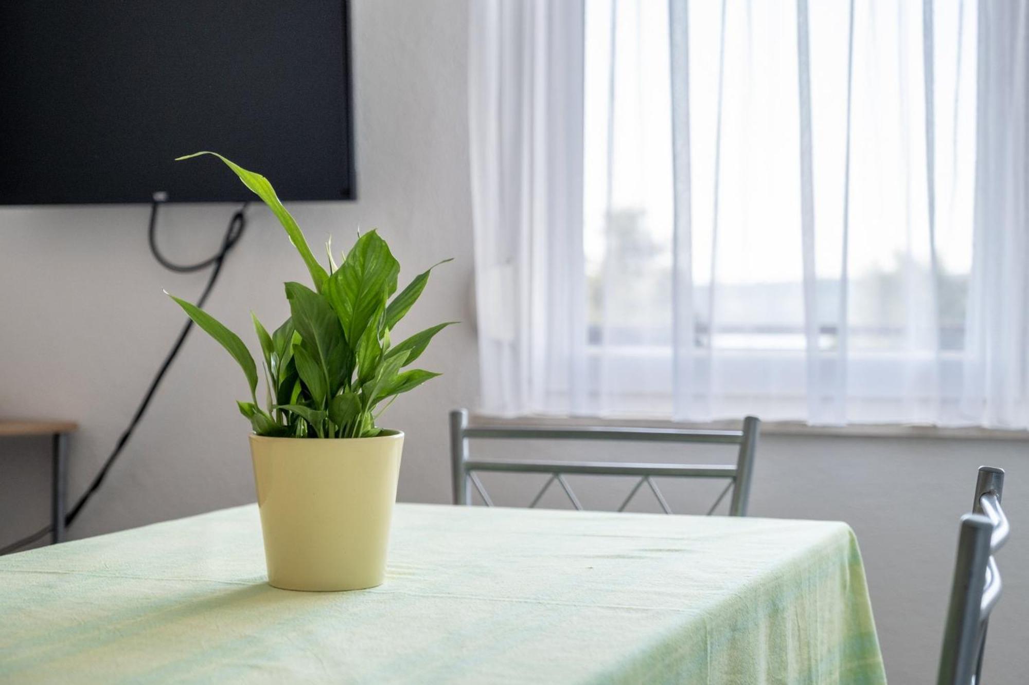 Apartments Mimi Trogir Rom bilde