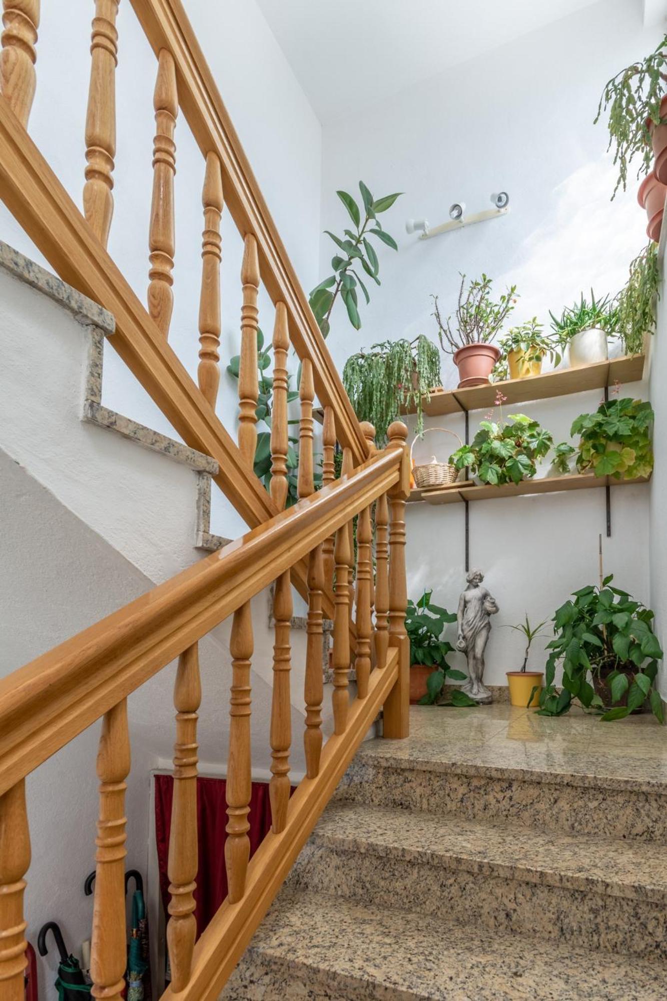 Apartments Mimi Trogir Rom bilde